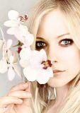 Avril Lavigne - mada_sasuke - muzica