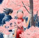 nr 25 poze sasusaku