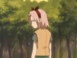 alta si gata! sakura poze: