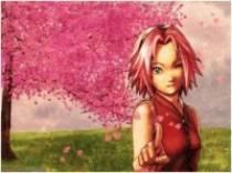 SAkura poze: - skliipici - sakura haruno