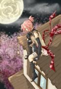 nr15 sakura poze: