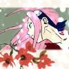 nr 30 sakura poze: