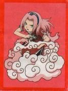 nr49 sakura poze: