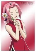 SAkura poze: - laura_bravo_girl - sakura haruno