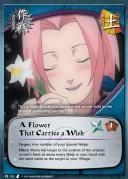 nr 58 sakura poze: