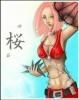 SAkura poze: - laura_bravo_girl - sakura haruno
